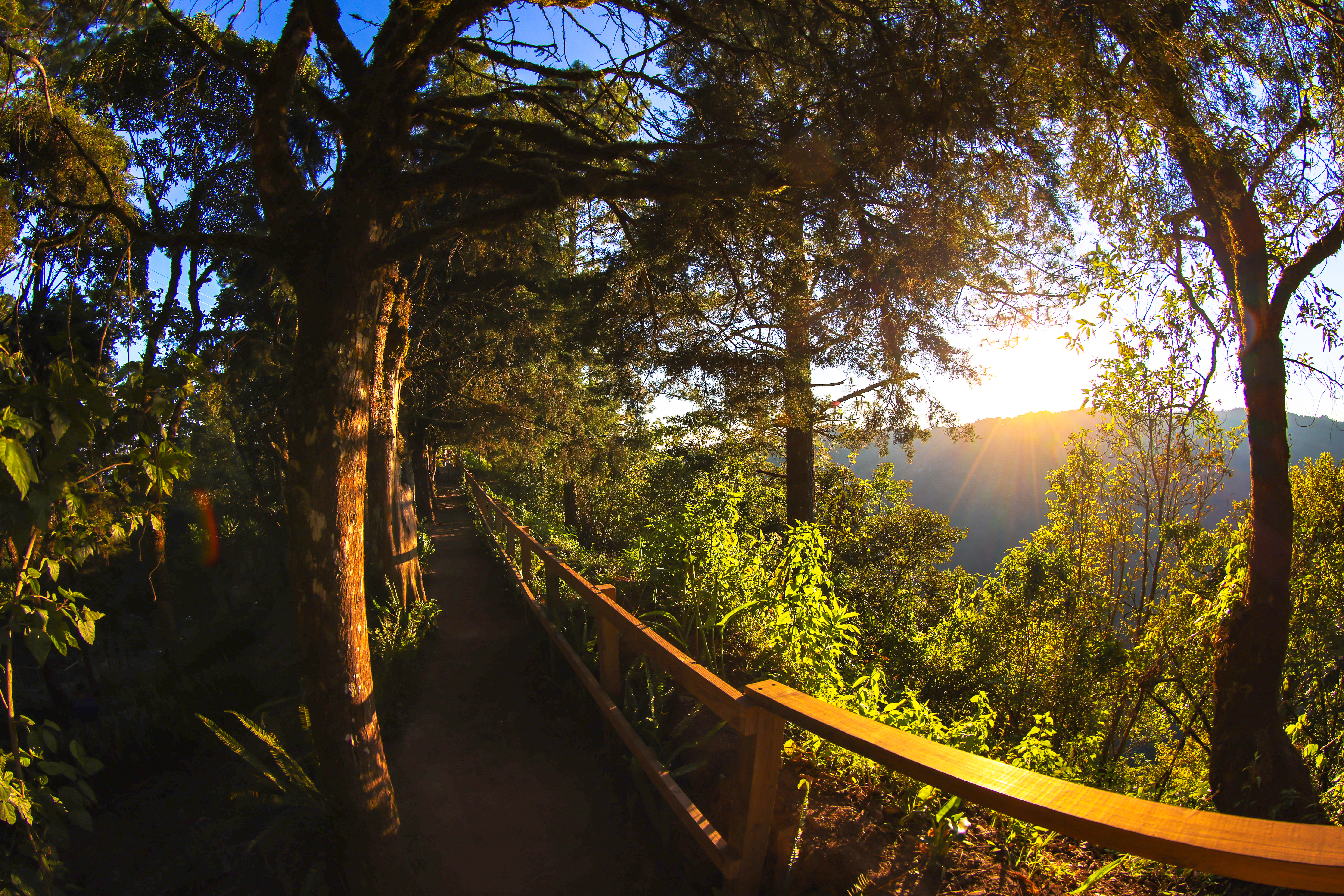 Photo from Parque Nacional El Boquerón